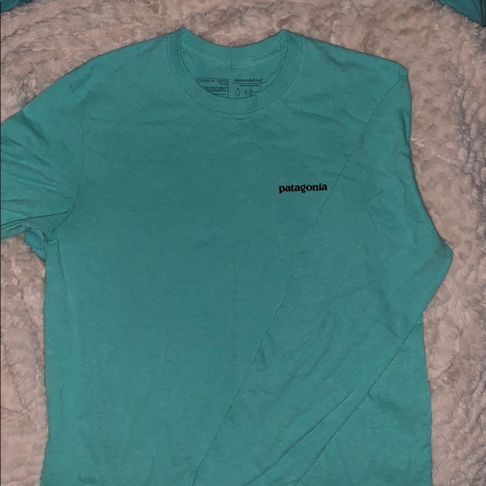 Patagonia T-shirt